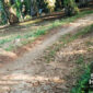 Jalan rusak di Desa Pangkalan, Kecamatan Cikidang, Sukabumi. | Foto: Istimewa