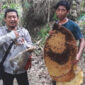 Irman Sumantri (kiri) pemburu dan penjual madu hutan asal Cicantayan Sukabumi. | Foto: Istimewa