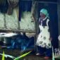 Mak Janah, nenek asal Kalaparea, Nagrak, Sukabumi pencari kumis kucing. | Adinda Suryahadi