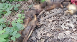  Penemuan jasad Abah Edom di Cikidang Sukabumi. | Foto: Istimewa