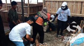 Aksi bersih-bersih pantai Palabuhanratu I istimewa
