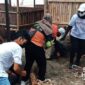 Aksi bersih-bersih pantai Palabuhanratu I istimewa
