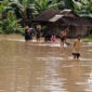Jembatan Cisentul terendam banjir. l Istimewa