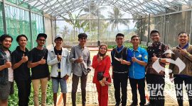 Kru Pohaci Farm. l Istimewa