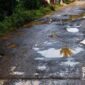 Jalan rusak di Ciracap, Sukabumi l @infojampang
