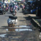 Jalan nasional rusak di Cicurug. l Istimewa