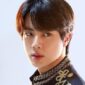 Jin BTS. l Istimewa