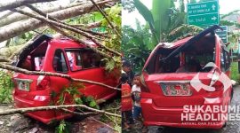 Pohon timpa angkot dan tutup badan jalan. I Istimewa
