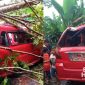 Pohon timpa angkot dan tutup badan jalan. I Istimewa
