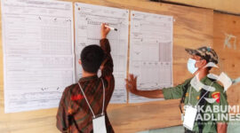 Pilkada Serentak. l Fery Heryadi