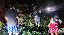 Kondisi rumpun bambu longsor di Nagrak. l Istimewa
