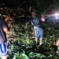 Kondisi rumpun bambu longsor di Nagrak. l Istimewa

