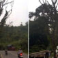 Pohon tua di Cikembang. l Istimewa
