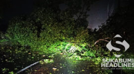 Pohon tumbang Parungkuda. l Istimewa
