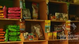 Pet shop milik Agi Aghnina. l Istimewa