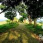 Bukit Lengkeng, Cicurug, Sukabumi. l Istimewa