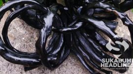 Gelang kreasi Topik Hidayat. l Dok. Pribadi
