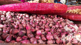 Bawang Merah. l Dok. sukabumiheadlines.com
