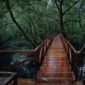 Wisata Hutan Mangrove di Ciemas, Sukabumi. l Istimewa