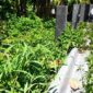 Kondisi Guardrail di ruas jalan Cikeong, Citepus terlepas. 
