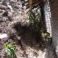 Longsor timpa rumah warga di Kampung Cikarae. l Dok. sukabumiheadlines.com
