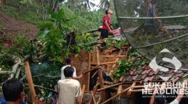 Pohon Tumbang Cisolok. Dok. sukabumiheadlines.com