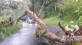 Pohon tumbang di Parakansalak. l Istimewa
