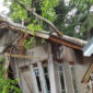 Rumah rusak tertimpa pohon tumbang di Cicadas. l Istimewa
