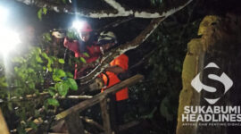 Evakuasi pohon tumbang di Pondokkasolandeuh. l Istimewa