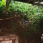 Dinding rumah warga Girijaya jebol. l Istimewa