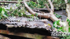pohon tumbang di Parakansalak. l Istimewa