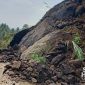 Kondisi Bancana tanah Longsor di jalan Kampung Cipurut. l Istimewa