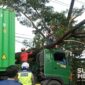 Relawan Siberu melakukan kegiatan. l Istimewa