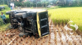 Truk terguling ke sawah di Kampung Cigaru, Ciracap. l Istimewa