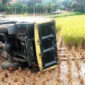 Truk terguling ke sawah di Kampung Cigaru, Ciracap. l Istimewa