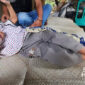 Muhammad Ikhsan, warga Kampung Cigaok, Cibodas, Cibitung, Sukabumi. l sukabumiheadlines.com
