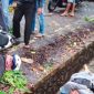 Korban pohon tumbang. l Istimewa