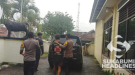 Pelaku diamankan polisi. l Istimewa