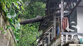 Pohon tumbang timpa rumah di Parungkuda. l Istimewa