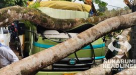 Pohon timpa truk di Cikembar. l Istimewa