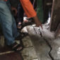 Rumah yang mengalami retak. l Istimewa
