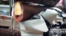 Mobil ringsek tertimpa pohon di Cikidang Sukabumi. l Istimewa