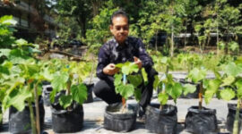 Pakar Biologi Tumbuhan Prof. Hamim. l Istimewa