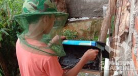 Nevan Danil, siswa SMP hobi budidaya lebah madu trigona. l Istimewa