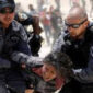 Tindakan brutal polisi Israel. l Istimewa
