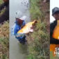 Cecep dan ikan mas raksasa hasil tangkapannya. l Istimewa