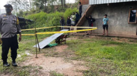 Lokasi penemuan jasad bayi dimakan anjing. l Istimewa