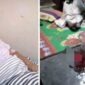 IRT korban upaya perkosaan di Pabuaran. l Istimewa
