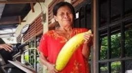Buah pisang raksasa. l Istimewa