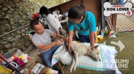 Komunitas Sukabumi Dog Lover. l Istimewa